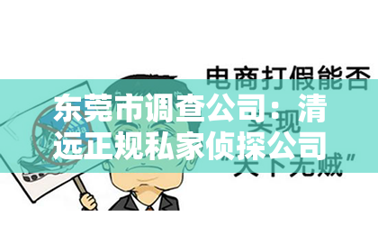 东莞市调查公司：清远正规私家侦探公司：揭秘隐私守护者的秘密世界