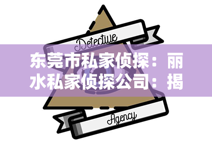 东莞市私家侦探：丽水私家侦探公司：揭秘隐私守护者的神秘世界
