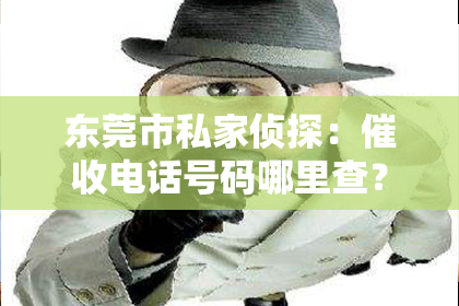 东莞市私家侦探：催收电话号码哪里查？揭秘追踪欠款者的秘密武器