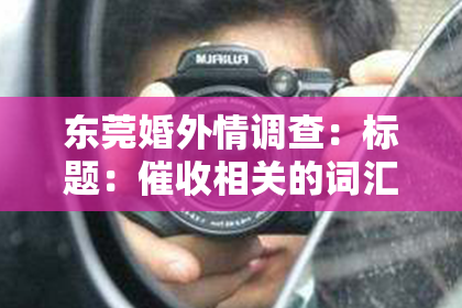 东莞婚外情调查：标题：催收相关的词汇英文缩写解析