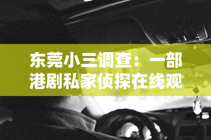 东莞小三调查：一部港剧私家侦探在线观看：揭秘神秘案件的背后
