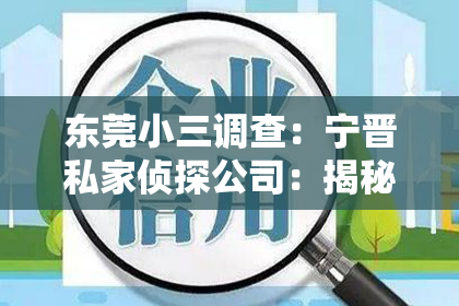 东莞小三调查：宁晋私家侦探公司：揭秘隐私守护者的神秘世界