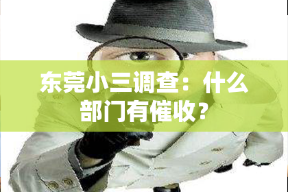 东莞小三调查：什么部门有催收？