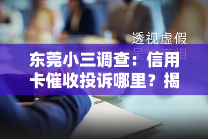 东莞小三调查：信用卡催收投诉哪里？揭秘投诉途径与维权方法