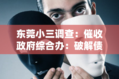 东莞小三调查：催收政府综合办：破解债务难题的利器