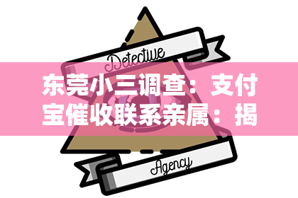 东莞小三调查：支付宝催收联系亲属：揭秘背后的法律与情感纠葛