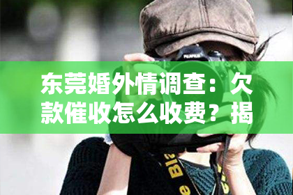 东莞婚外情调查：欠款催收怎么收费？揭秘行业真相与案例分享