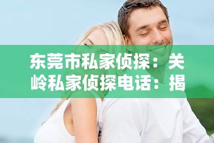 东莞市私家侦探：关岭私家侦探电话：揭秘隐私守护者的神秘世界