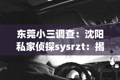 东莞小三调查：沈阳私家侦探sysrzt：揭秘神秘职业背后的故事