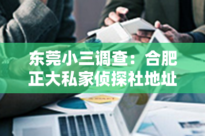 东莞小三调查：合肥正大私家侦探社地址：揭秘专业侦探机构的神秘之门