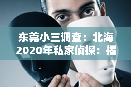 东莞小三调查：北海2020年私家侦探：揭秘隐私守护者的故事