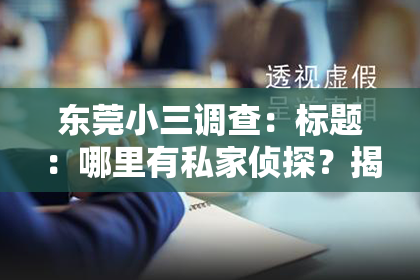 东莞小三调查：标题：哪里有私家侦探？揭秘私家侦探行业现状及选择指南