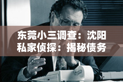 东莞小三调查：沈阳私家侦探：揭秘债务追踪的艺术