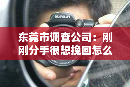 东莞市调查公司:刚刚分手很想挽回怎么办