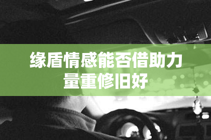 缘盾情感能否借助力量重修旧好