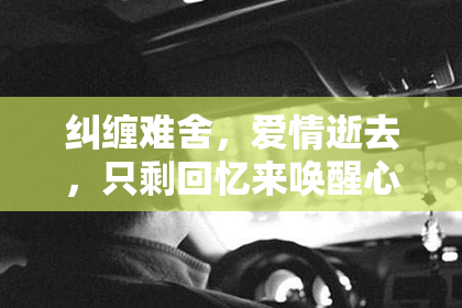 纠缠难舍，爱情逝去，只剩回忆来唤醒心灵