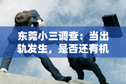 东莞小三调查:当出轨发生,是否还有机会挽回的可能性存在?一本引人深思的小说