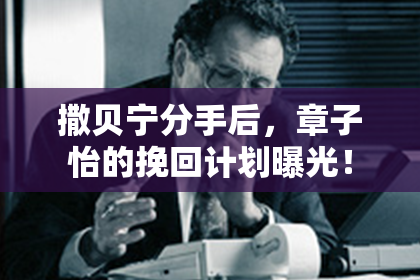 撒贝宁分手后，章子怡的挽回计划曝光！