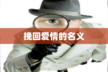 挽回爱情的名义
