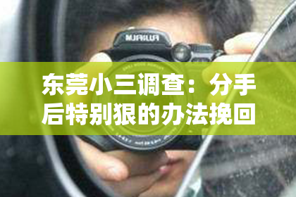 东莞小三调查：分手后特别狠的办法挽回：理智与情感的平衡之道
