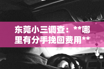 东莞小三调查：**哪里有分手挽回费用**