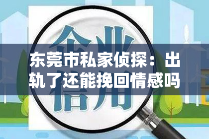 东莞市私家侦探：出轨了还能挽回情感吗小说