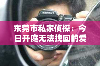 东莞市私家侦探：今日开庭无法挽回的爱情