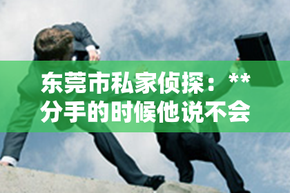 东莞市私家侦探：**分手的时候他说不会挽回你：解读情感背后的法律与心理**