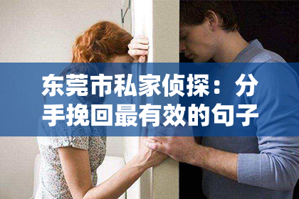 东莞市私家侦探：分手挽回最有效的句子简短
