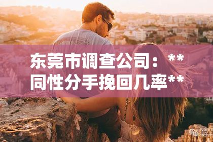 东莞市调查公司：**同性分手挽回几率**