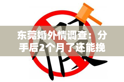 东莞婚外情调查：分手后2个月了还能挽回吗？深度解析与策略建议