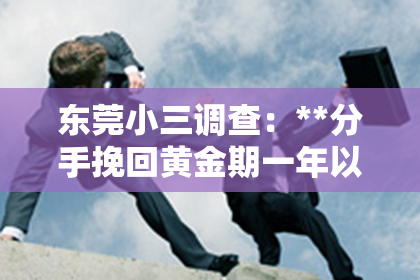 东莞小三调查：**分手挽回黄金期一年以上的策略分析与实用建议**