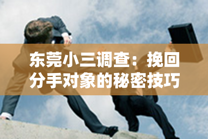 东莞小三调查:挽回分手对象的秘密技巧和建议