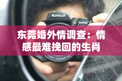 东莞婚外情调查：情感最难挽回的生肖